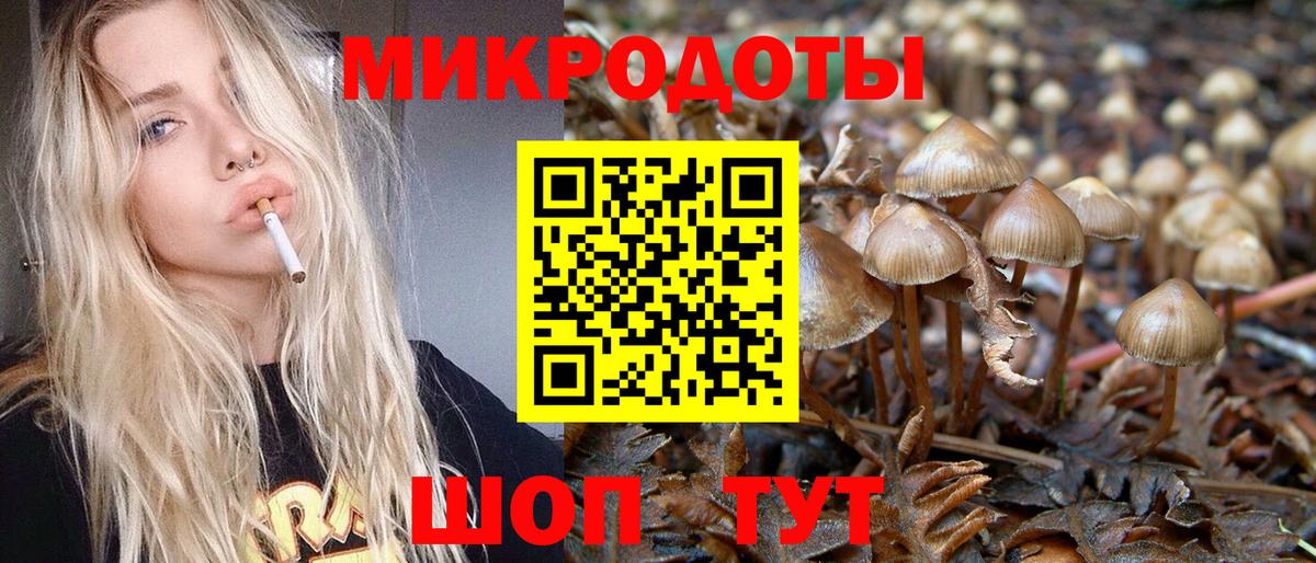 Псилоцибиновые грибы Cubensis  Вход с VPN  Саянск 