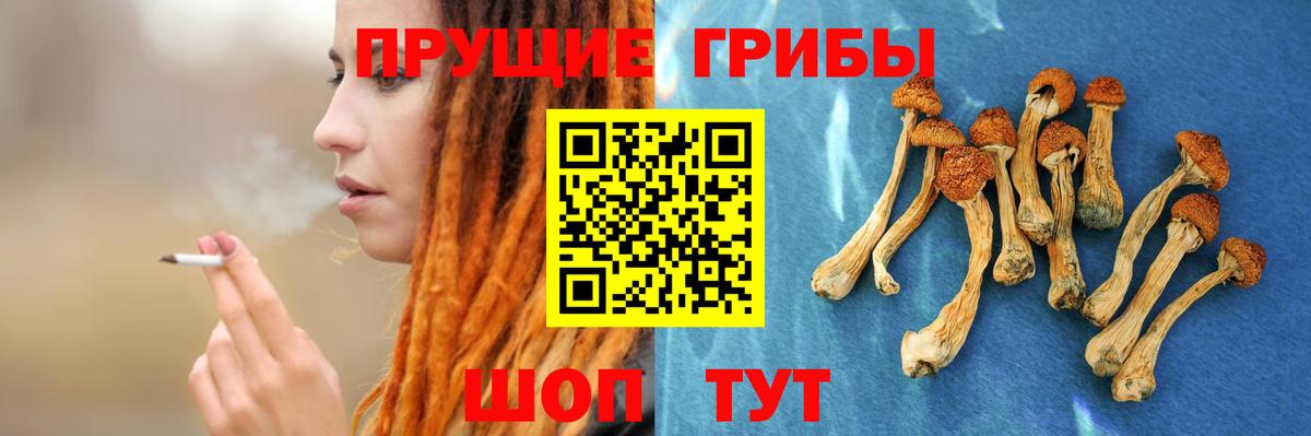 Псилоцибиновые грибы MAGIC MUSHROOMS Саянск